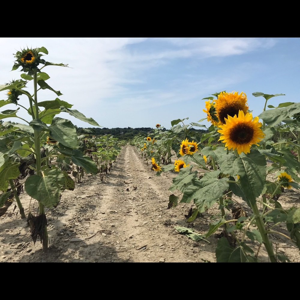 Meet your Posher, Kayleigh